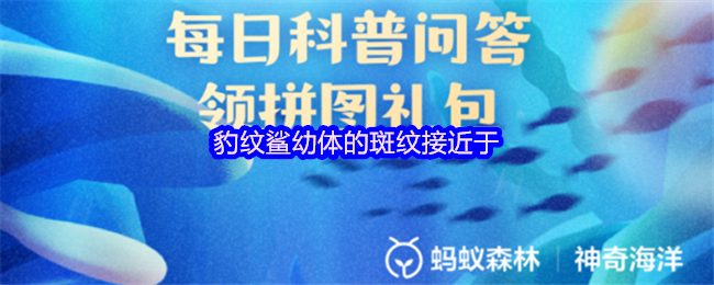 豹纹鲨幼体的斑纹接近于