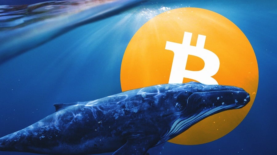 比特币週期理论已死？CryptoQuant 执行长：老鲸鱼卖出的BTC流向长线机构投资人
