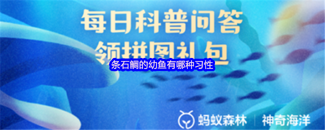 条石鲷的幼鱼有哪种习性