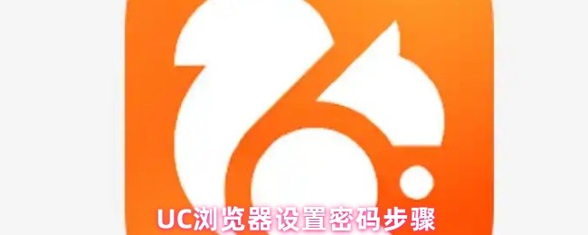 UC浏览器设置密码步骤