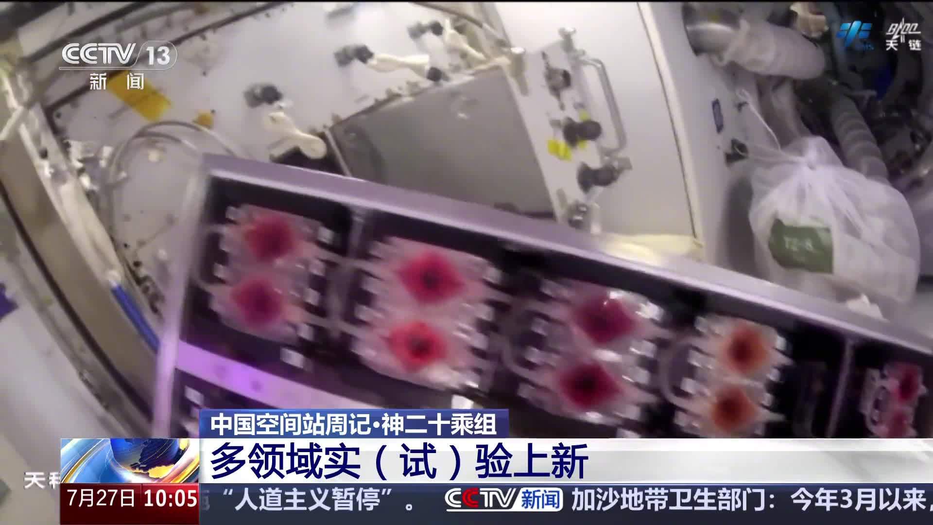 “太空快递”签收后航天员都在忙什么？中国空间站多领域新实验上线