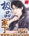 极品家丁TXT全集下载
