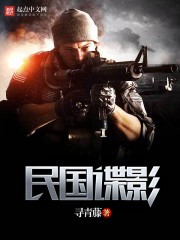 民国谍影TXT全集下载