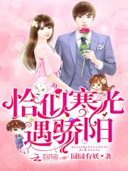 恰似寒光遇骄阳TXT全集下载