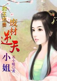 邪王追妻：废材逆天小姐TXT全集下载