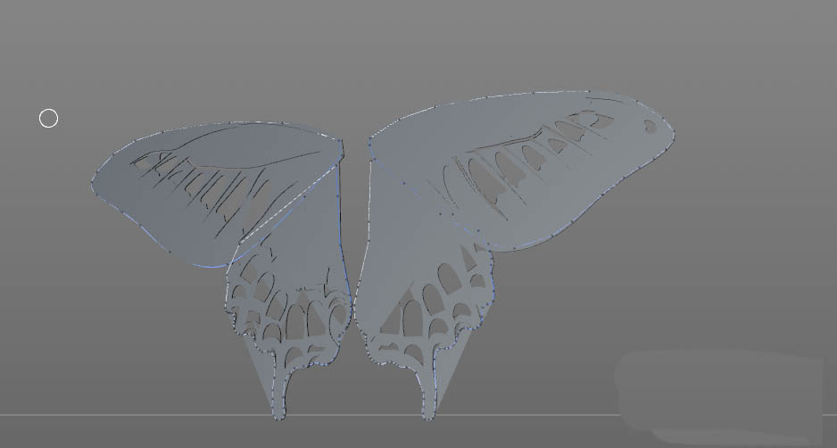 C4D怎么建模逼真的蝴蝶模型? c4d三维蝴蝶的创建方法
