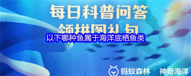以下哪种鱼属于海洋底栖鱼类