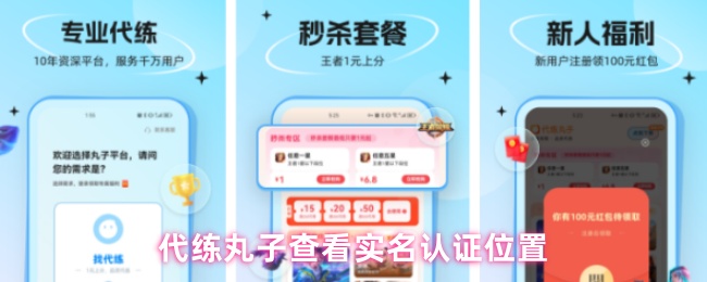 代练丸子查看实名认证位置