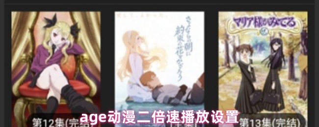 age动漫二倍速播放设置