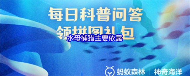 水母捕猎主要依靠