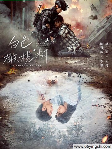 白色橄榄树百度云网盘资源1080P高清完整版链接下载