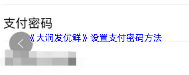 《大润发优鲜》设置支付密码方法