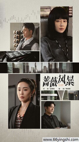 蔷薇风暴百度网盘无删减全集资源下载链接