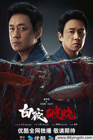 白夜破晓阿里云盘资源下载4K高清无删减版链接