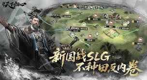 三国天下归心凤仪亭队如何搭配