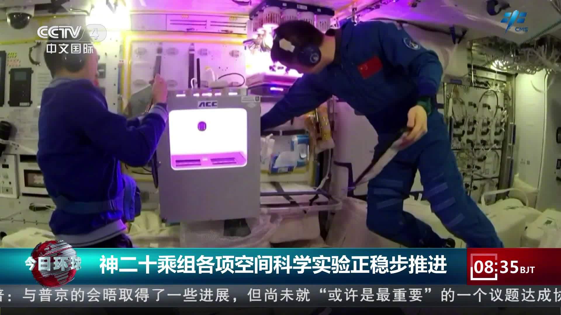 太空农场再升级：中国空间站启动新一轮植物栽培，后续还将开展更多研究与技术试验