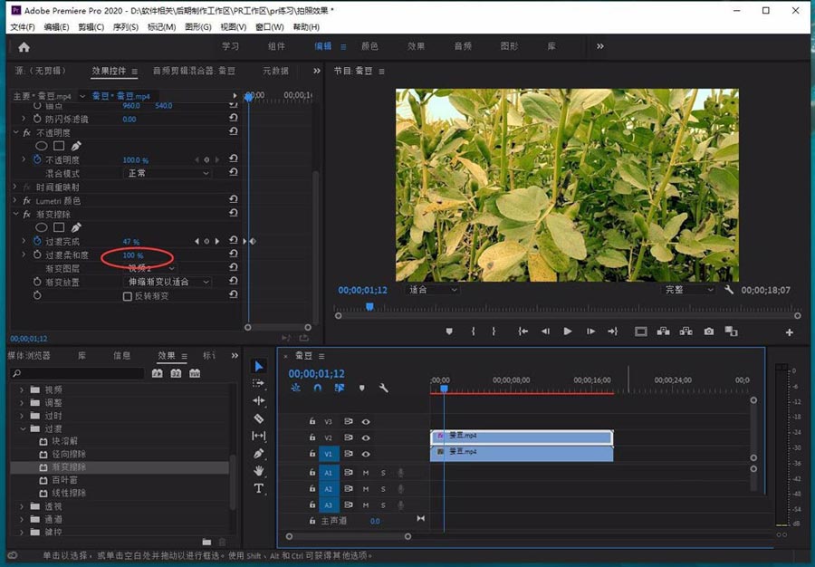 pr视频颜色过渡效果怎么实现?premiere画面由翠绿慢慢过渡到枯黄的技巧