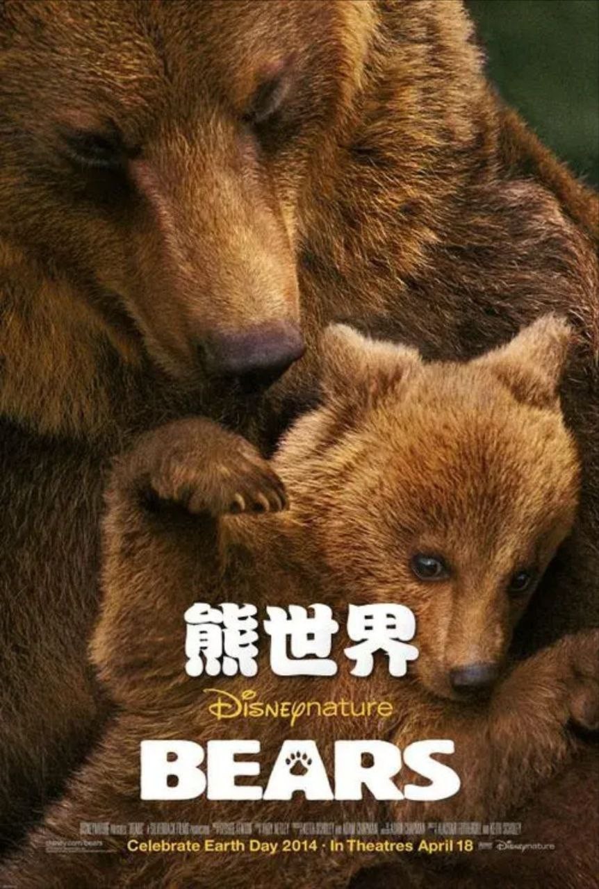 熊世界(2014)[高清1080P][REMUX(蓝光原盘)][中英外挂字幕]云盘