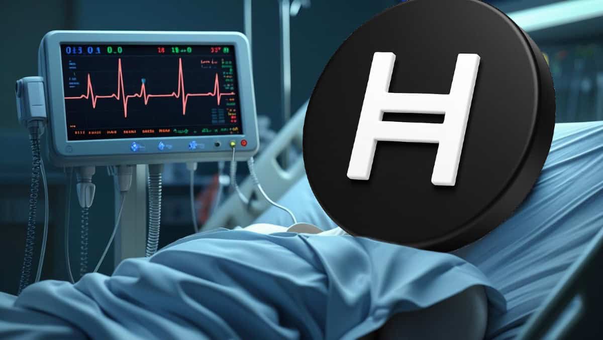 Hedera价格回调，尽管流动性和搜索量激增