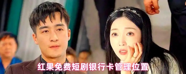 红果免费短剧银行卡管理位置