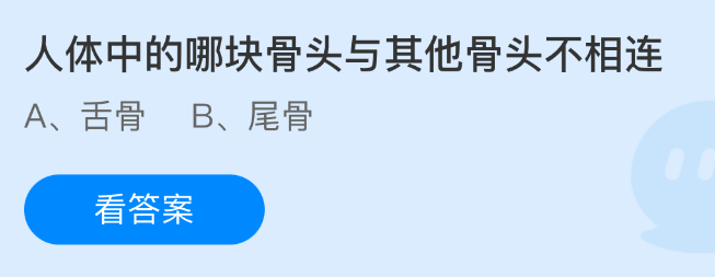 人体中的哪块骨头与其他骨头不相连