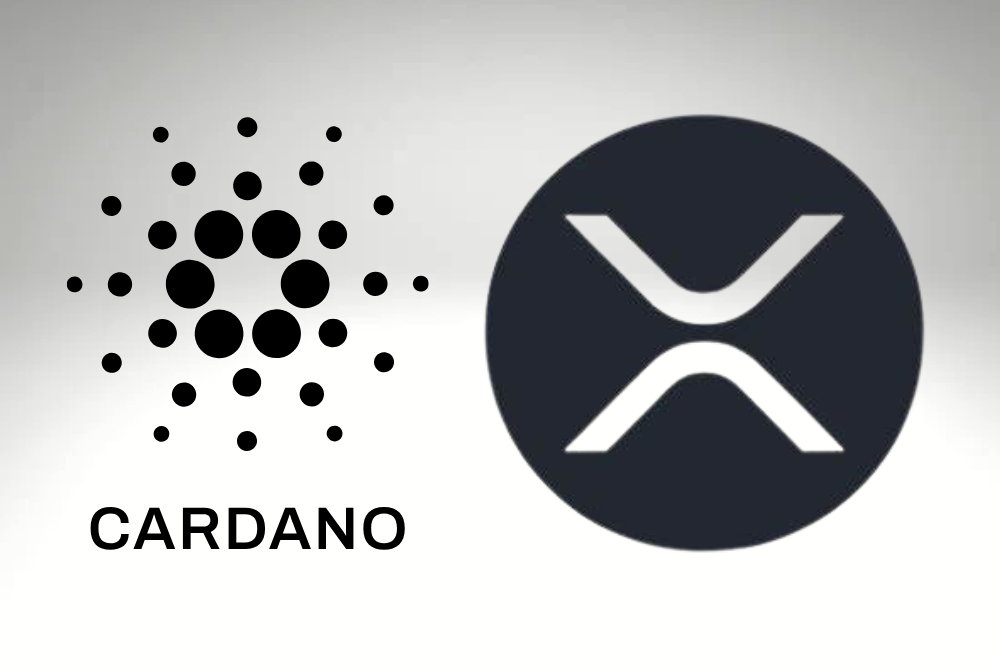 顶级交易所关注XRP和ADA的翻转行动，却无人讨论