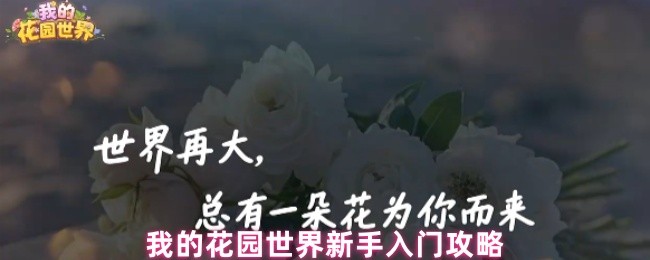 我的花园世界新手入门攻略