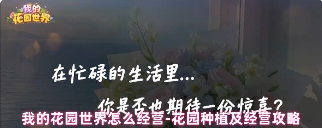 《我的花园世界》花园种植及经营攻略