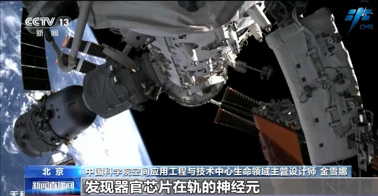 中国空间站完成空间生命科学在轨实验任务，“样品”下半年返回地球