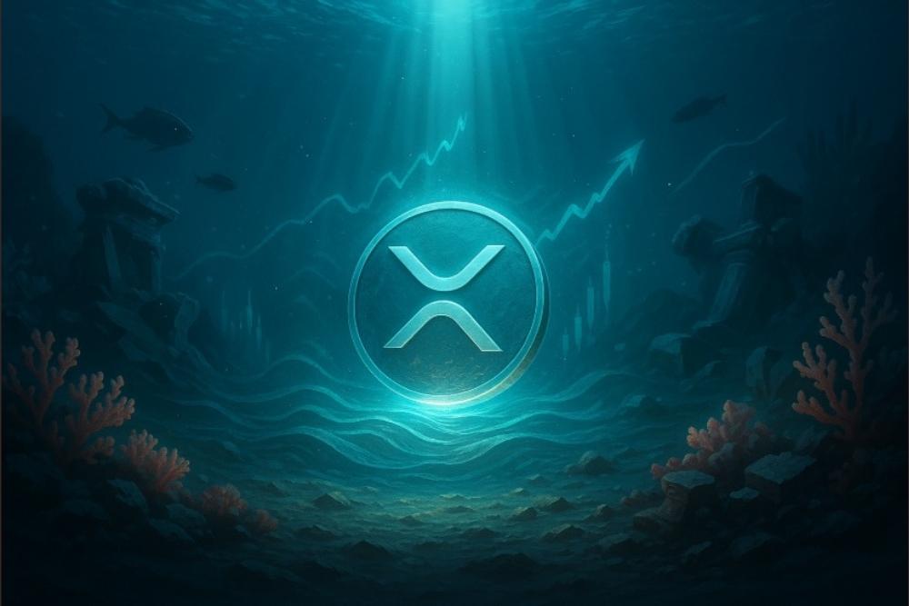 市场策略师就美国关税与经济形势变化致XRP持有者的讯息