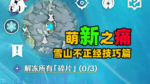 非生物因素如何快速前往雪山