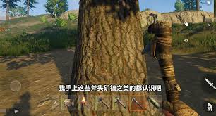 失控进化开局如何发育
