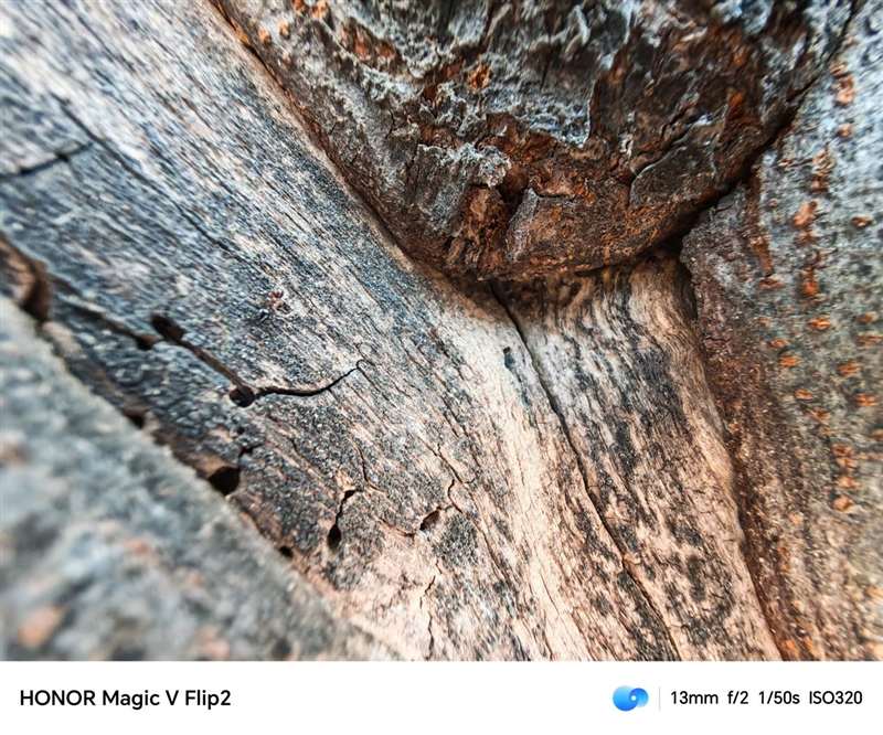 小折叠中的影像巅峰！荣耀Magic V Flip2评测：行业唯一2亿像素照亮你的颜值