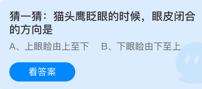 猜一猜猫头鹰眨眼的时候眼皮闭合的方向是