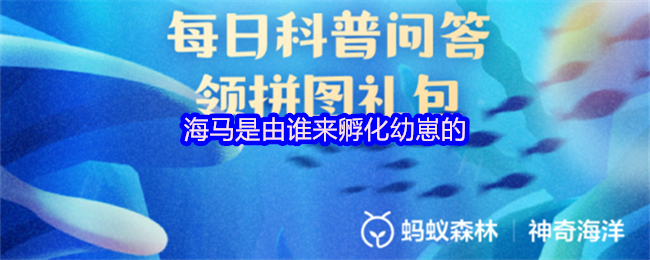 海马是由谁来孵化幼崽的