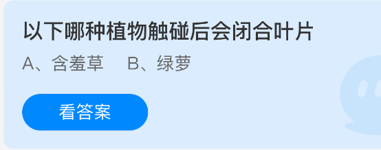 以下哪种植物触碰后会闭合叶片