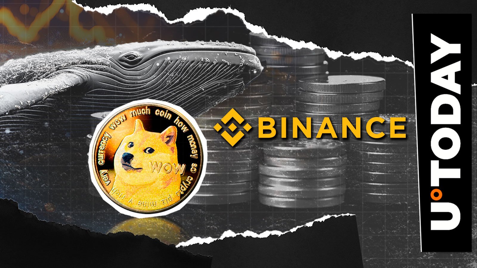 3200万枚DOGE离开币安，新狗狗币巨鲸诞生：详情