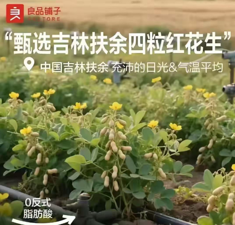 良品铺子就“花生长地上”宣传图致歉：系错误使用 AI 生成图片