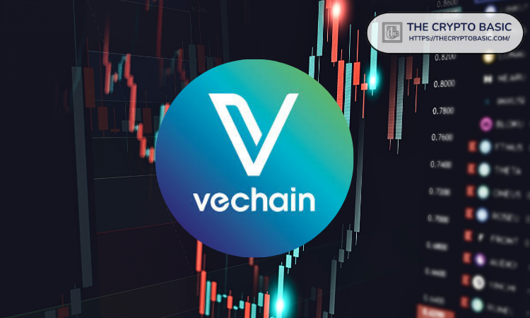 Van de Poppe谈VeChain：“重大突破即将来临，积累持仓绝对在我的关注范围内”