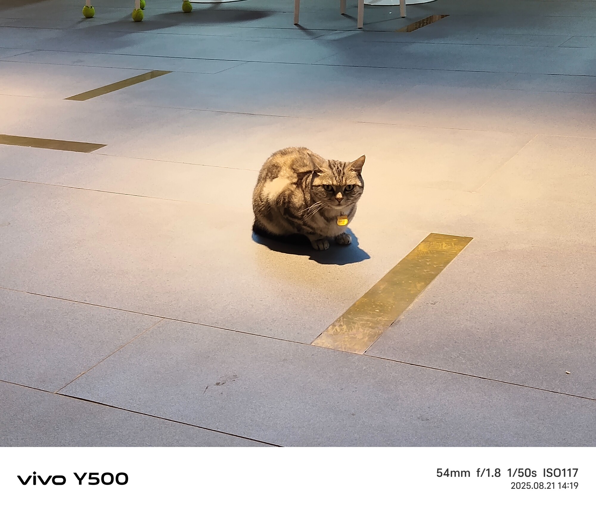 vivo Y500全面评测 全方位耐用小钢炮