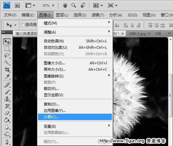 如何用ps通道来快速完成抠图蒲公英?