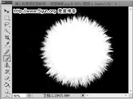如何用ps通道来快速完成抠图蒲公英?