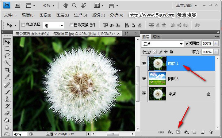 如何用ps通道来快速完成抠图蒲公英?