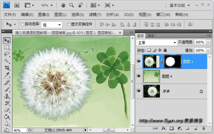 如何用ps通道来快速完成抠图蒲公英?