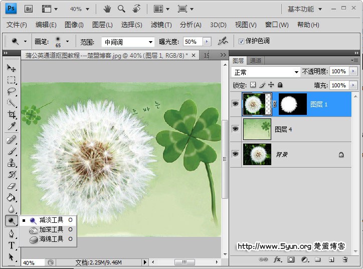 如何用ps通道来快速完成抠图蒲公英?