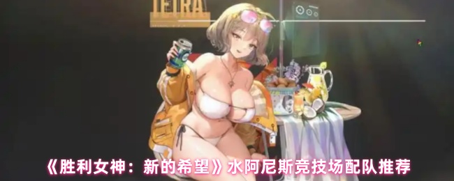 《胜利女神：新的希望》水阿尼斯竞技场配队推荐