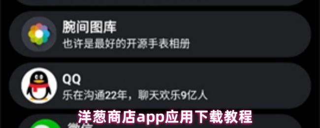 洋葱商店app应用下载教程