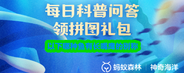 以下哪种鱼有长嘴鹰的别称