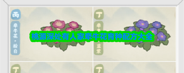 《桃源深处有人家》牵牛花育种配方大全