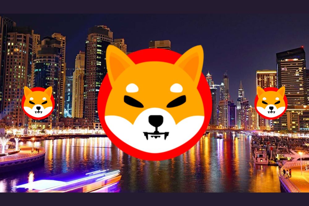以下是前十大SHIB持有者持有的柴犬币供应量百分比